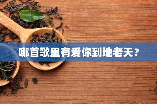 哪首歌里有爱你到地老天？