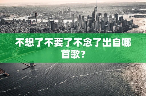不想了不要了不念了出自哪首歌？