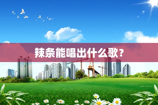 辣条能唱出什么歌？