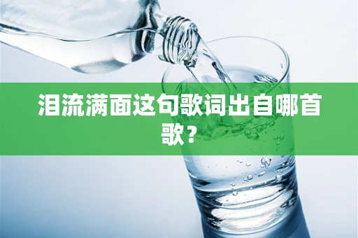 泪流满面这句歌词出自哪首歌？