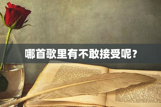 哪首歌里有不敢接受呢？