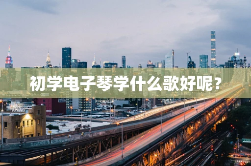 初学电子琴学什么歌好呢？