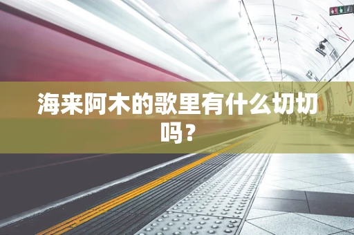海来阿木的歌里有什么切切吗？