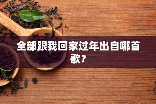 全部跟我回家过年出自哪首歌？