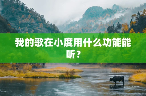 我的歌在小度用什么功能能听？
