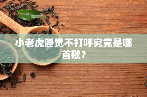 小老虎睡觉不打呼究竟是哪首歌？