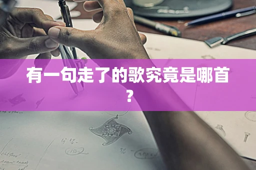 有一句走了的歌究竟是哪首？