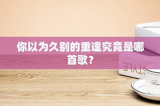 你以为久别的重逢究竟是哪首歌？