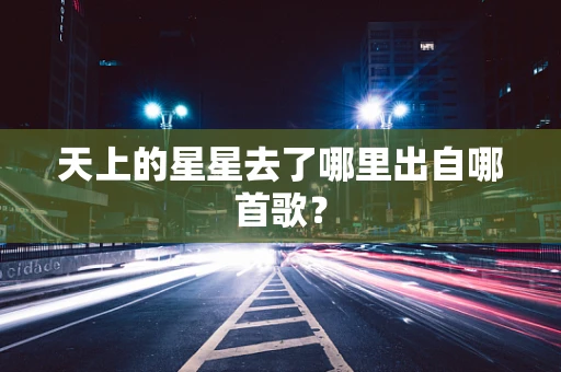 天上的星星去了哪里出自哪首歌？