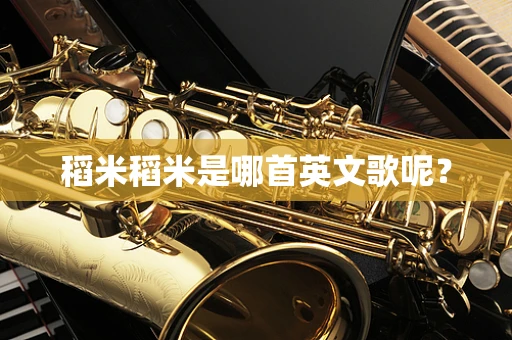 稻米稻米是哪首英文歌呢？