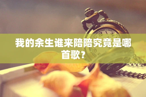 我的余生谁来陪陪究竟是哪首歌？