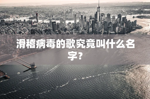 滑稽病毒的歌究竟叫什么名字？