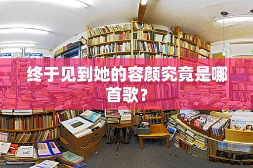 终于见到她的容颜究竟是哪首歌？