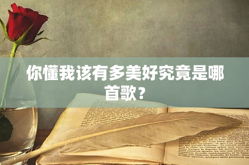 你懂我该有多美好究竟是哪首歌？