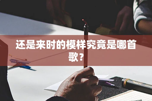 还是来时的模样究竟是哪首歌？