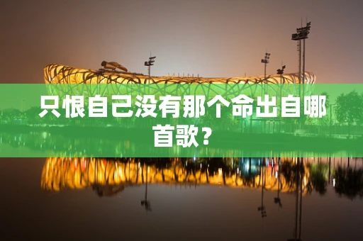 只恨自己没有那个命出自哪首歌？