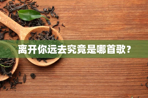 离开你远去究竟是哪首歌？