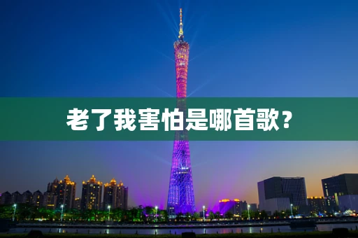 老了我害怕是哪首歌？