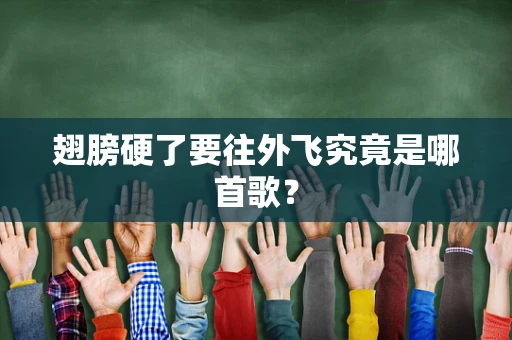 翅膀硬了要往外飞究竟是哪首歌？