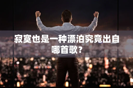 寂寞也是一种漂泊究竟出自哪首歌？
