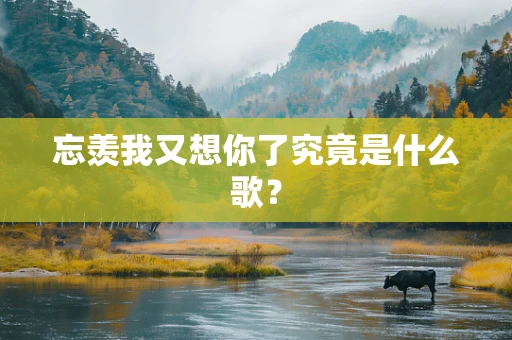 忘羡我又想你了究竟是什么歌？