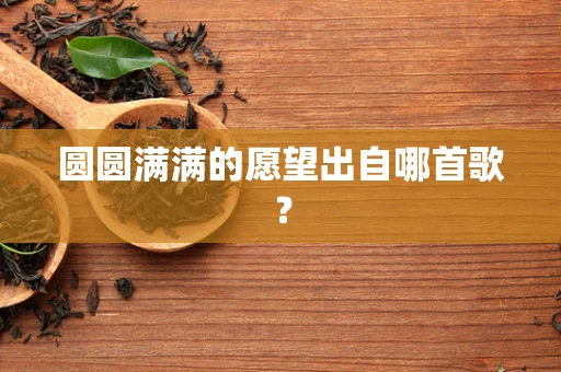 圆圆满满的愿望出自哪首歌？