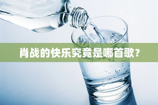 肖战的快乐究竟是哪首歌？