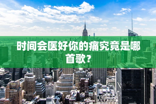 时间会医好你的痛究竟是哪首歌？