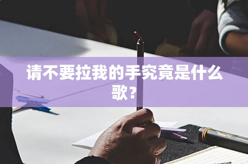 请不要拉我的手究竟是什么歌？