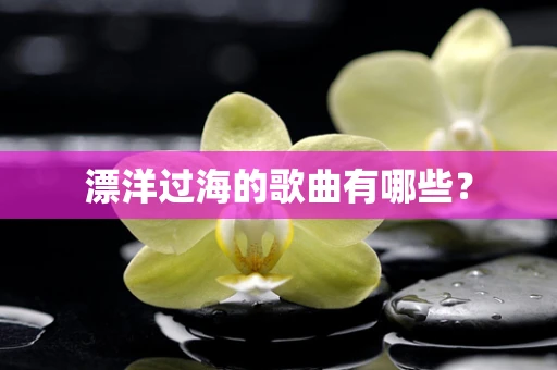 漂洋过海的歌曲有哪些？