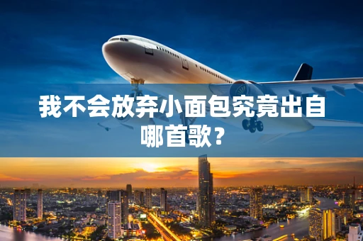 我不会放弃小面包究竟出自哪首歌？