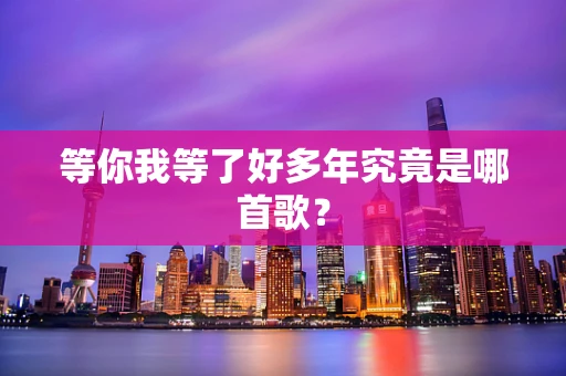 等你我等了好多年究竟是哪首歌？