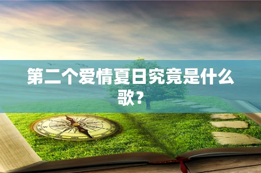 第二个爱情夏日究竟是什么歌？