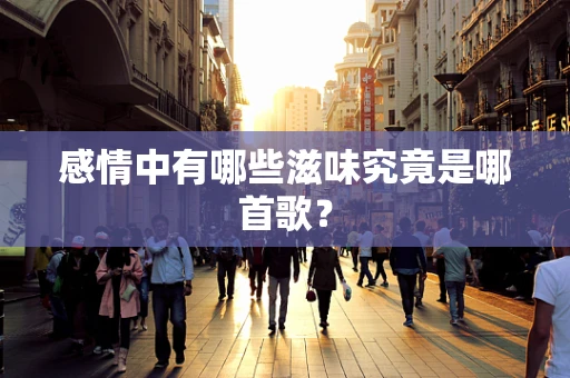 感情中有哪些滋味究竟是哪首歌？