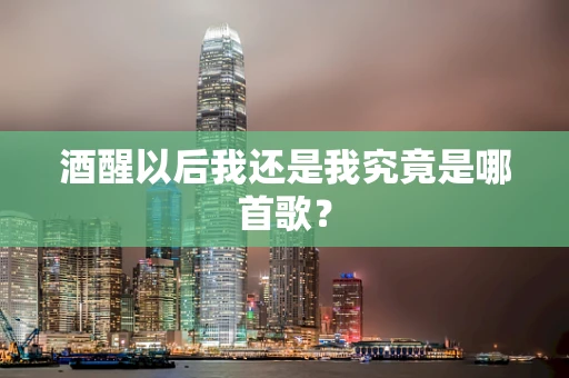 酒醒以后我还是我究竟是哪首歌？