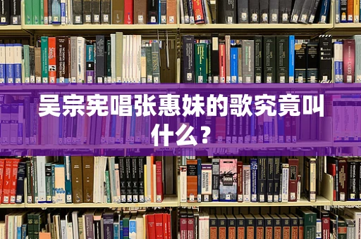 吴宗宪唱张惠妹的歌究竟叫什么？