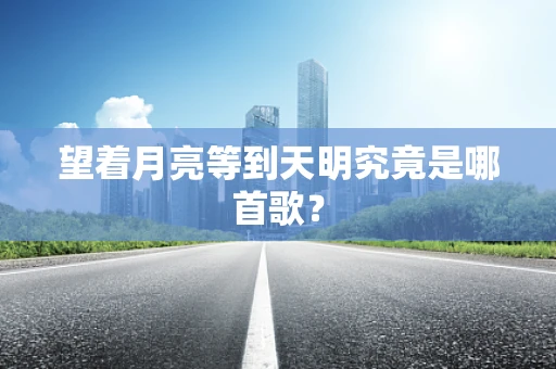 望着月亮等到天明究竟是哪首歌？