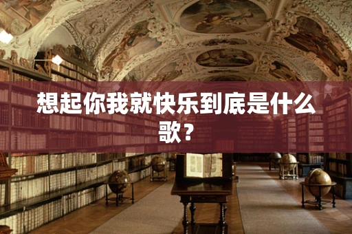 想起你我就快乐到底是什么歌？