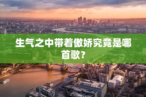 生气之中带着傲娇究竟是哪首歌？