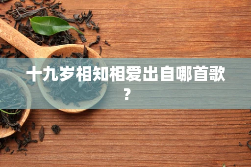 十九岁相知相爱出自哪首歌？