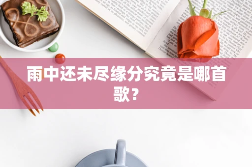 雨中还未尽缘分究竟是哪首歌？