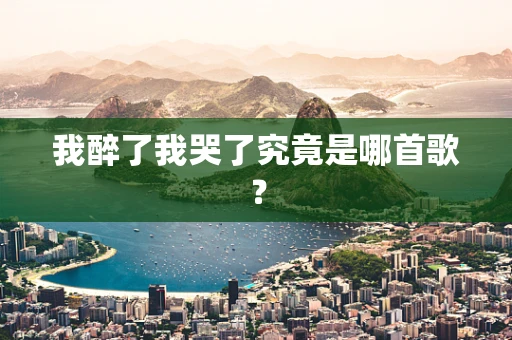 我醉了我哭了究竟是哪首歌？