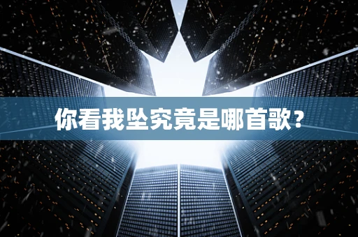 你看我坠究竟是哪首歌？