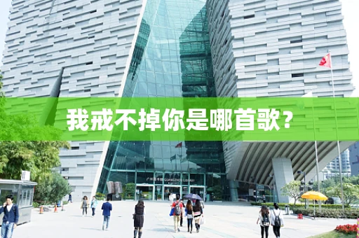 我戒不掉你是哪首歌？