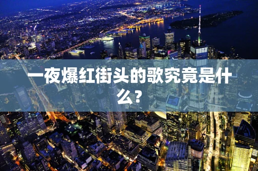 一夜爆红街头的歌究竟是什么？
