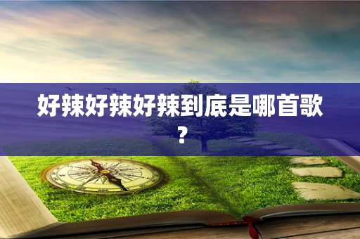 好辣好辣好辣到底是哪首歌？
