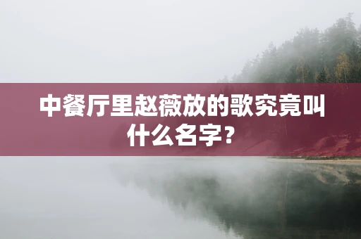中餐厅里赵薇放的歌究竟叫什么名字？