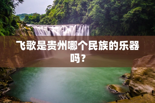 飞歌是贵州哪个民族的乐器吗？