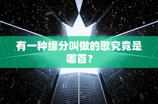 有一种缘分叫做的歌究竟是哪首？