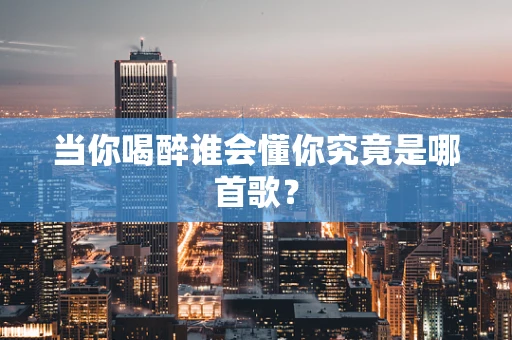 当你喝醉谁会懂你究竟是哪首歌？
